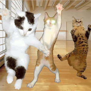 dance.gif dance image by kelleykr